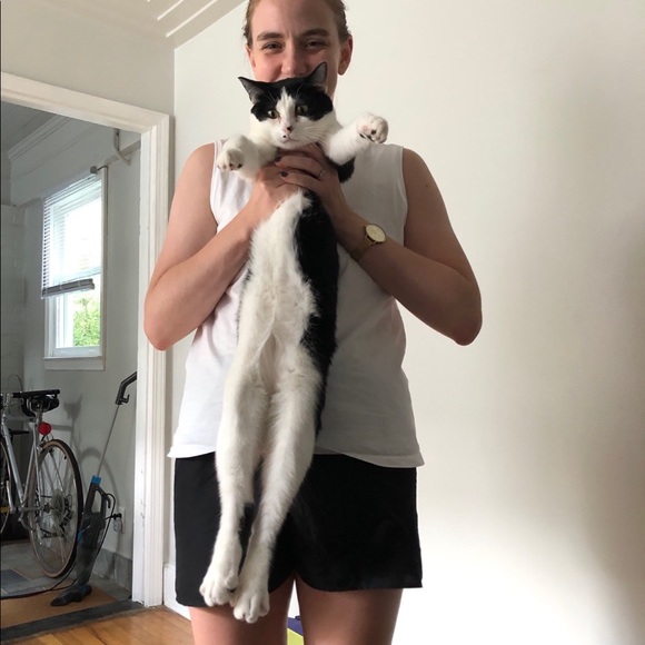 Meet your Posher, Chelsea - Picture 1 of 1